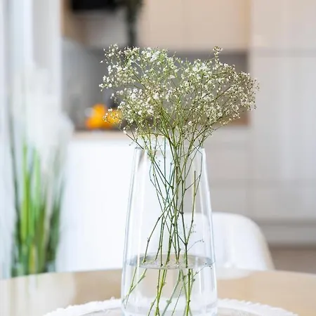 Lusea Apartamento Zadar